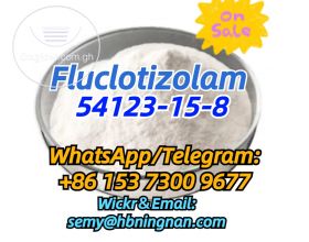 54123-15-8 Fluclotizolam