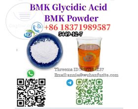 99% Purity BMK Glycidic Acid (Sodium Salt) BMK Chemical CAS 5449-12-7 