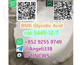 99% purity cas 5449-12-7 BMK Glycidic Acid Whatsapp: +852 9255 9749