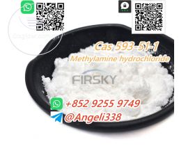 99% purity Cas 593-51-1 Methylamine hydrochloride   Whatsapp: +852 9255 9749 