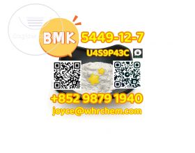 99% Purity Organic New BMK CAS 5449â€“12â€“7 White Crystal