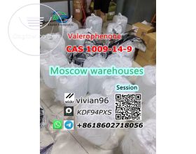 Best Price Valerophenone CAS:1009-14-9 Russia Germany warehouse stock