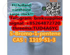 Bestselling Product Colorless Liquid 5-Bromo-1-Pentene CAS 1119-51-3 Preferential Price