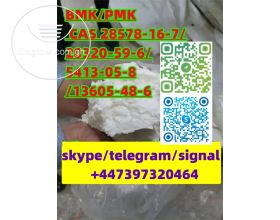 BMK/PMK CAS 28578-16-7/20320-59-6/5413-05-8/13605-48-6