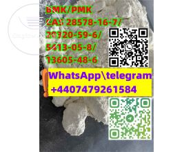 BMK/PMK CAS 28578-16-7/20320-59-6/5413-05-8/13605-48-6