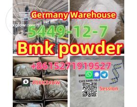 BMK powder 5449-12-7 Germany Warehouse p