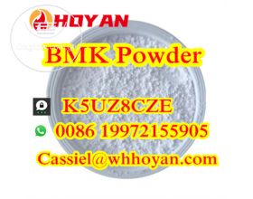 bmk powder CAS 5449-12-7 BMK methyl glycidate 80532-66-7 