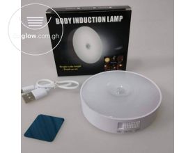 Body Induction lamp