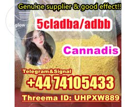 Cannabinoids 5cladba adbb powder 5cl adbb jwh018 safe delivery