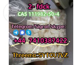 CAS 111982-50-4 2- fdck 2-fluorodeschloroketamine Telegarm/Signal/skype: +44 7410387422