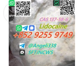 CAS 137-58-6 Lidocaine  tele@Angeli338 99% purity