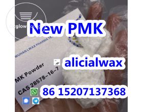 CAS 28578-16-7 PMK glycidate PMK powder pmk oil