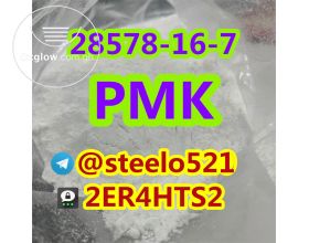 CAS 28578-16-7 Pmk Powder 100% Safe Delivery to Worldwide Threema: 2ER4HTS2