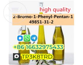 CAS 49851-31-2 2-Bromo-1-Phenyl-Pentan-1