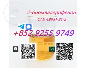 CAS 49851-31-2 2-BromovalerophenoneÂ BMF  tele@Angeli338 