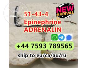 cas 51-43-4 Epinephrine powder 