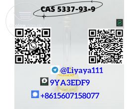 CAS 5337-93-9 4-Methylpropiophenone Warehouse Spot High Purity 99% Bulk Chemicals
