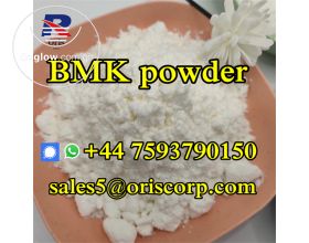 CAS 5449-12-7 BMK Glycidic Acid powder with safe delivery 