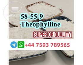 cas 58-55-9 Theophylline supplier