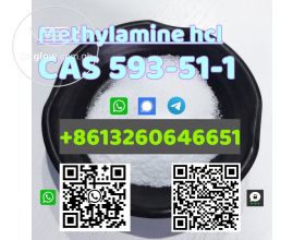 CAS 593-51-1 Methylamine hcl high quality best sell factory supply whatsapp:+8613260646651