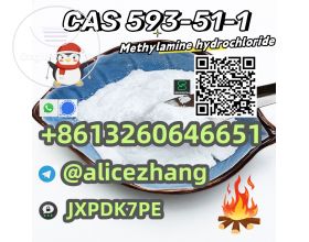 CAS 593-51-1 Methylamine hcl high quality best sell factory supply whatsapp:+8613260646651