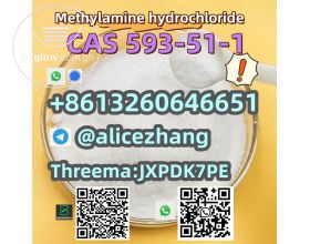 CAS 593-51-1 Methylamine hcl high quality best sell factory supply whatsapp:+8613260646651