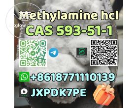 CAS 593-51-1 Methylamine hcl high quality best sell factory supply whatsapp:+8618771110139