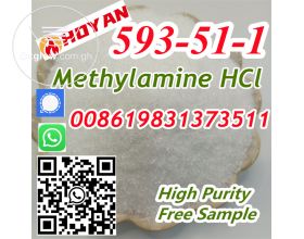 CAS 593-51-1 Methylamine HCl Supplier Chemical Raw Material Factory Supply Methylamine