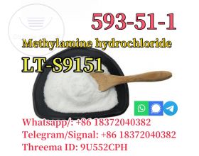 CAS 593-51-1 Methylamine hydrochloride LT-S9151 good price with high quality