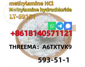 CAS 593-51-1 Methylamine hydrochloride LT-S9151 good price with high qualtiy