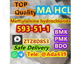 CAS 593-51-1 Methylamine hydrochloride WhatsApp+8613297917395