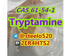 CAS 61-54-1 Tryptamine Powder