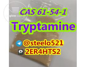 CAS 61-54-1 Tryptamine Powder Threema: 2