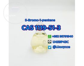 CAS 1119-51-3 5-Bromo-1-pentene with safe delivery