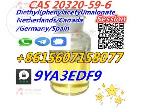 CAS20320-59-6 Diethyl(phenylacetyl)malonate 2-3 Days Delivery Canada Germany United States Australia Warehouse Supply 