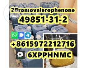 cas49851-31-2 2Bromovalerophenone Kazakhstan Russia
