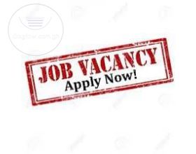 Cashiers Needed Urgently 