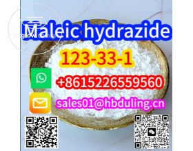 China Direct Sales Maleic hydrazide (CAS 123-33-1) WhatsApp+86152256559560