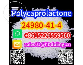 China Direct Sales Polycaprolactone (CAS 24980-41-4) WhatsApp+86152256559560
