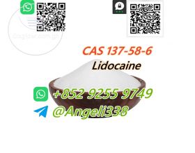 China factory supplier  CAS 137-58-6 Lidocaine White to slightly yellow powder 99% purity new batches  Whatsapp: +852 9255 9749