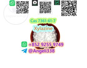 China factory supplier  Cas 7361-61-7 Xylazine  Whatsapp: +852 9255 9749