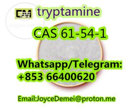 Chinese Factory supply White Powder Tryptamine CAS 61-54-1 with best price and 100% save delivery