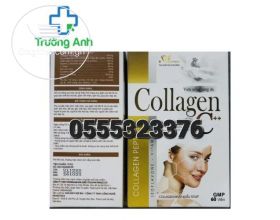 Collagen C++