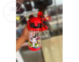 Disney water bottle