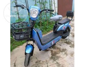 Electric Bicycle