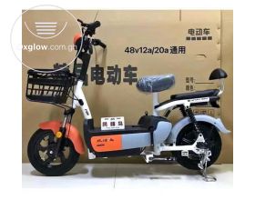 Electric bike