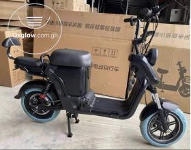 Electric motorbike