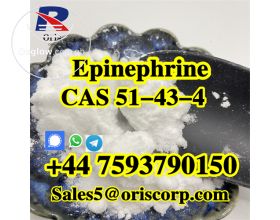 Epinephrine powder CAS 51-43-4  Pharmaceutical Material 99% Assay 