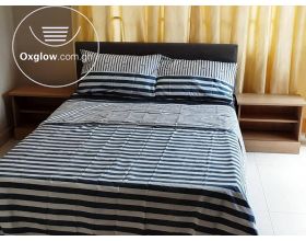 EXECUTIVE 3 BEDROOM HOUSE FULLY FURNISHED FOR RENT