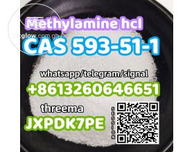 Factory supply CAS 593-51-1 Methylamine hcl safe delivery telegram:@alicezhang